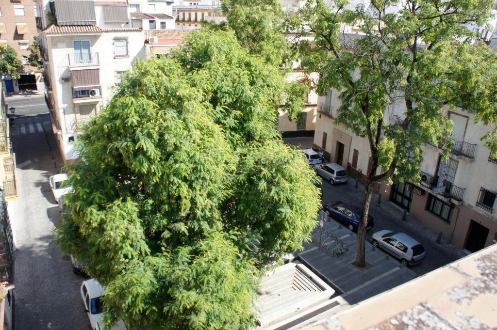 Pension Perez Montilla Sevilla Kültér fotó